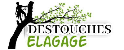 elagage-destouches-elagage